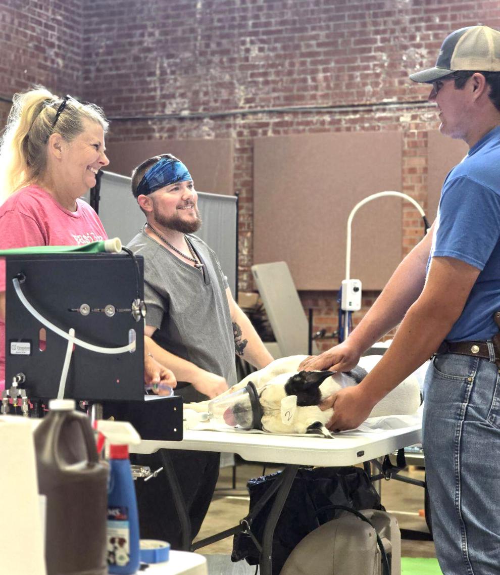 BEST FOR PETS Spay, neuter clinic helped over 60 dogs, cats