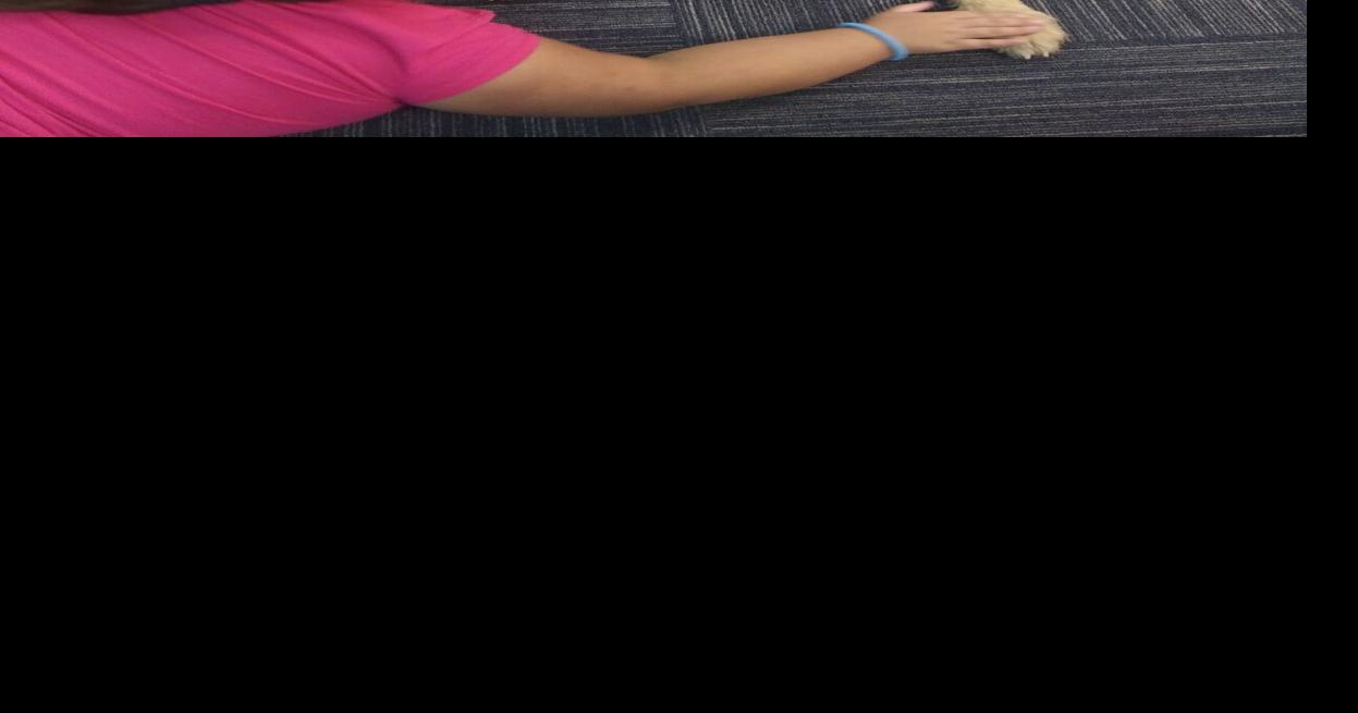 Therapy dog brings joy to Maryetta students Community