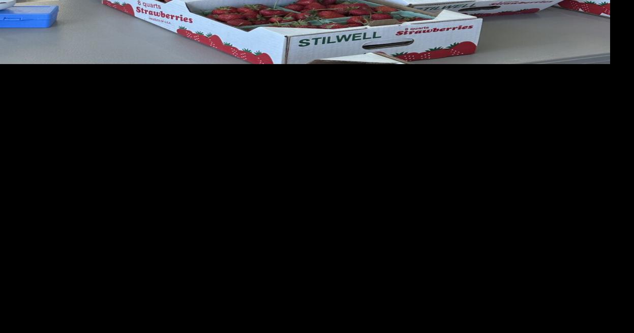 Strawberries barely available this year due to weather