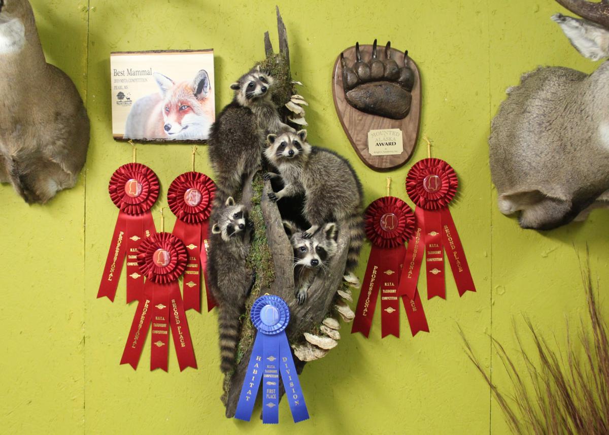 Trinity top taxidermist | News | stonecountyenterprise.com