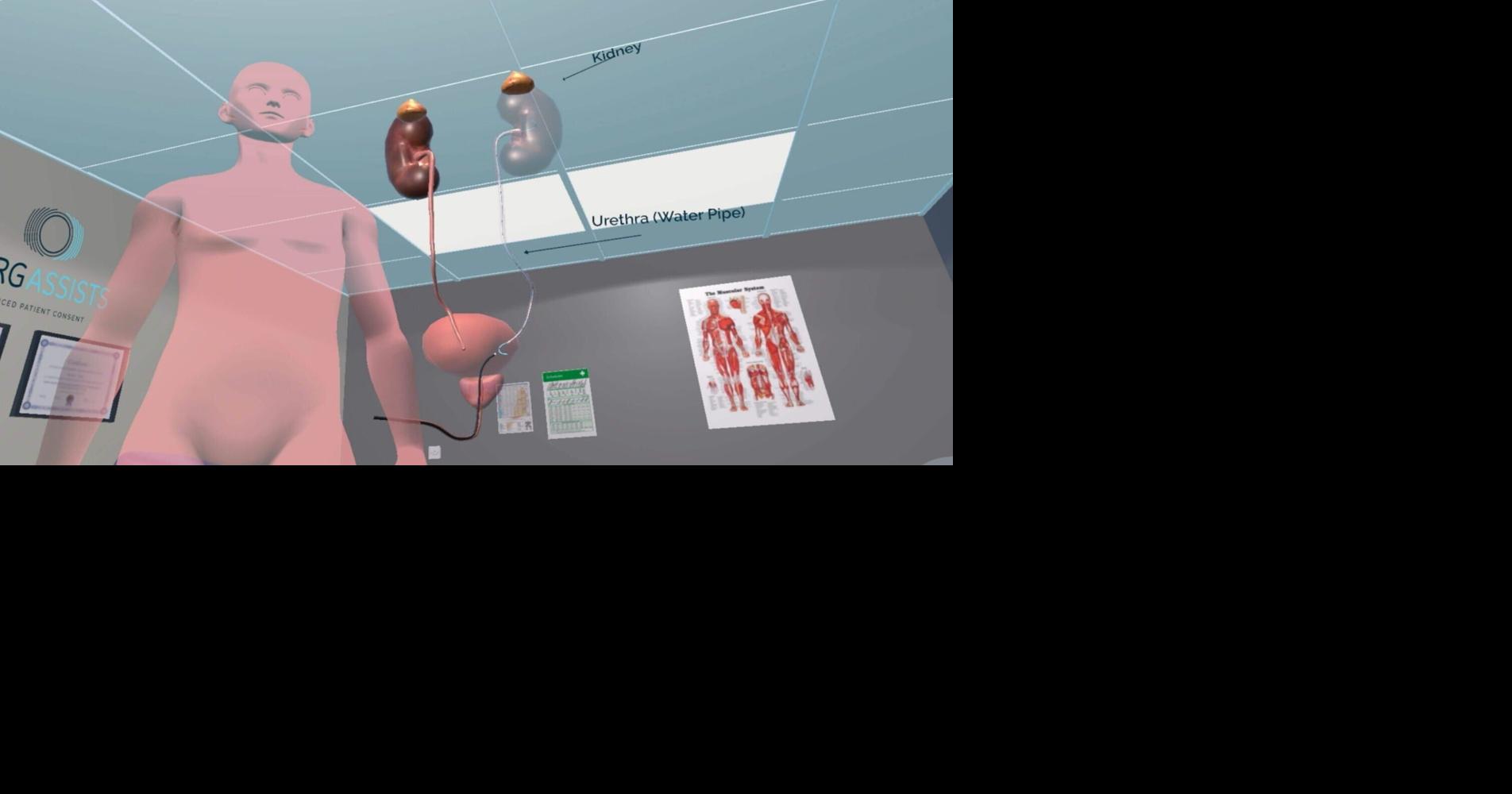 Could virtual reality help patients before medical procedures?