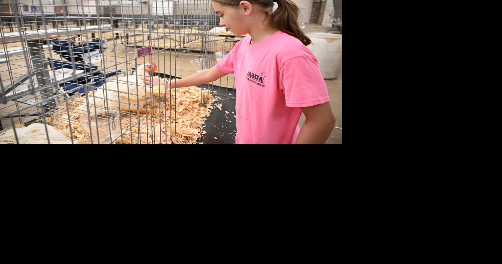 Payne County Junior Livestock Broiler Show a bird of a different ...