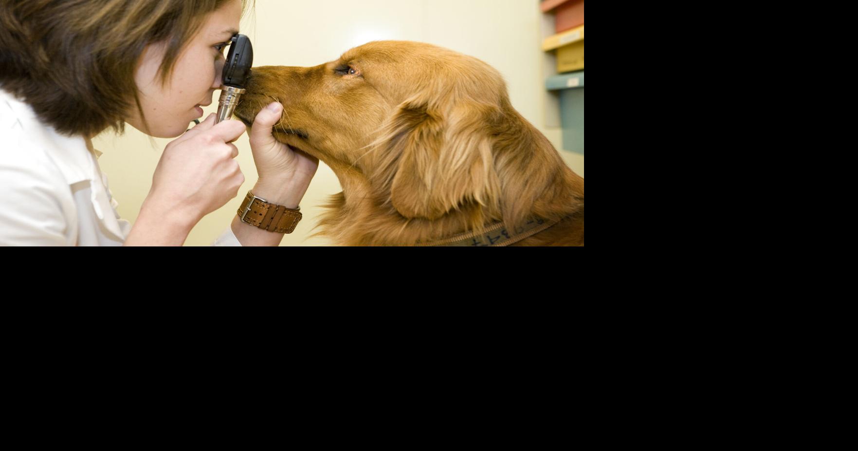 OSU announces $2M gift to College of Veterinary Medicine | News ...