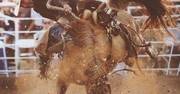 Pawnee Bill Memorial Rodeo enters 40th year | Local News | stwnewspress.com