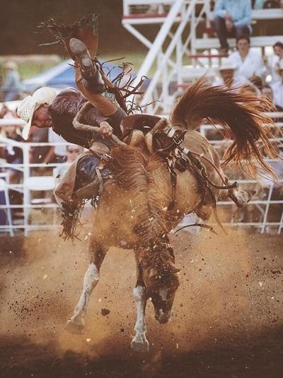 Pawnee Bill Memorial Rodeo enters 40th year | Local News | stwnewspress.com