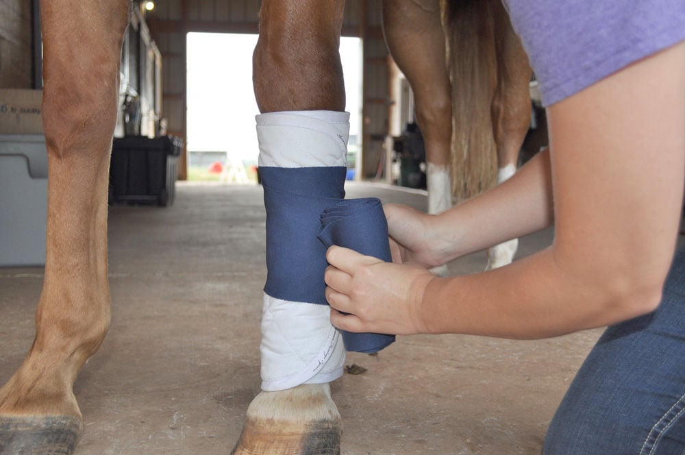 HAPPY TRAILS: Add standing wraps to horse-care arsenal | Local ...