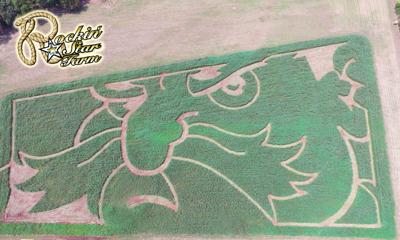 To Do This Weekend Rockin Star Farm Pumpkin Palooza Celebration News Stwnewspress Com