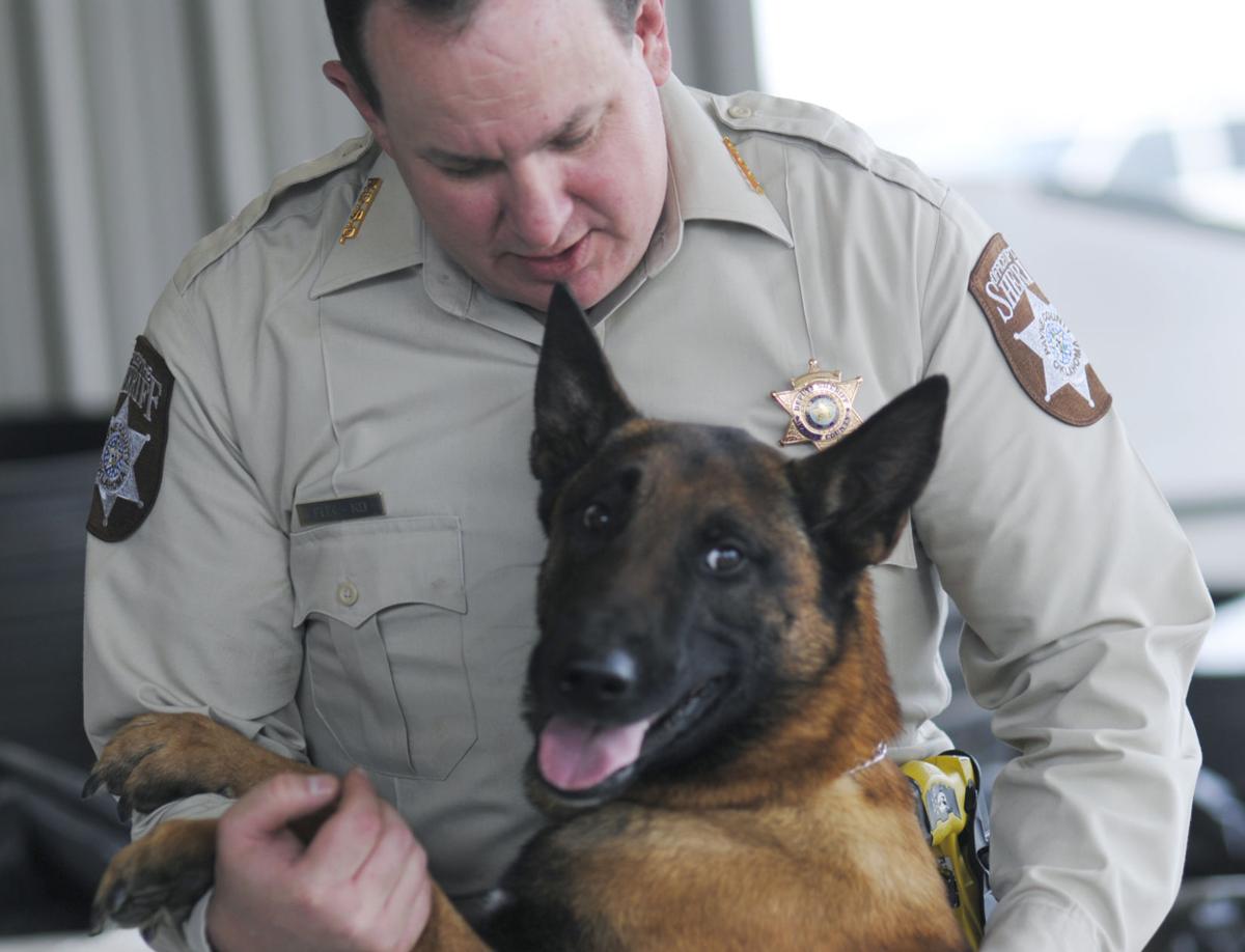 Payne County Sheriff #39 s Office gets two deputy dogs Local News