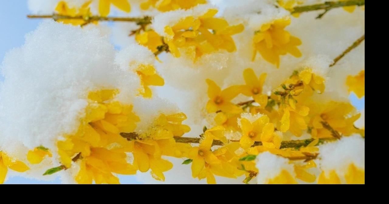 Coldest Aprils in Oklahoma since 1895