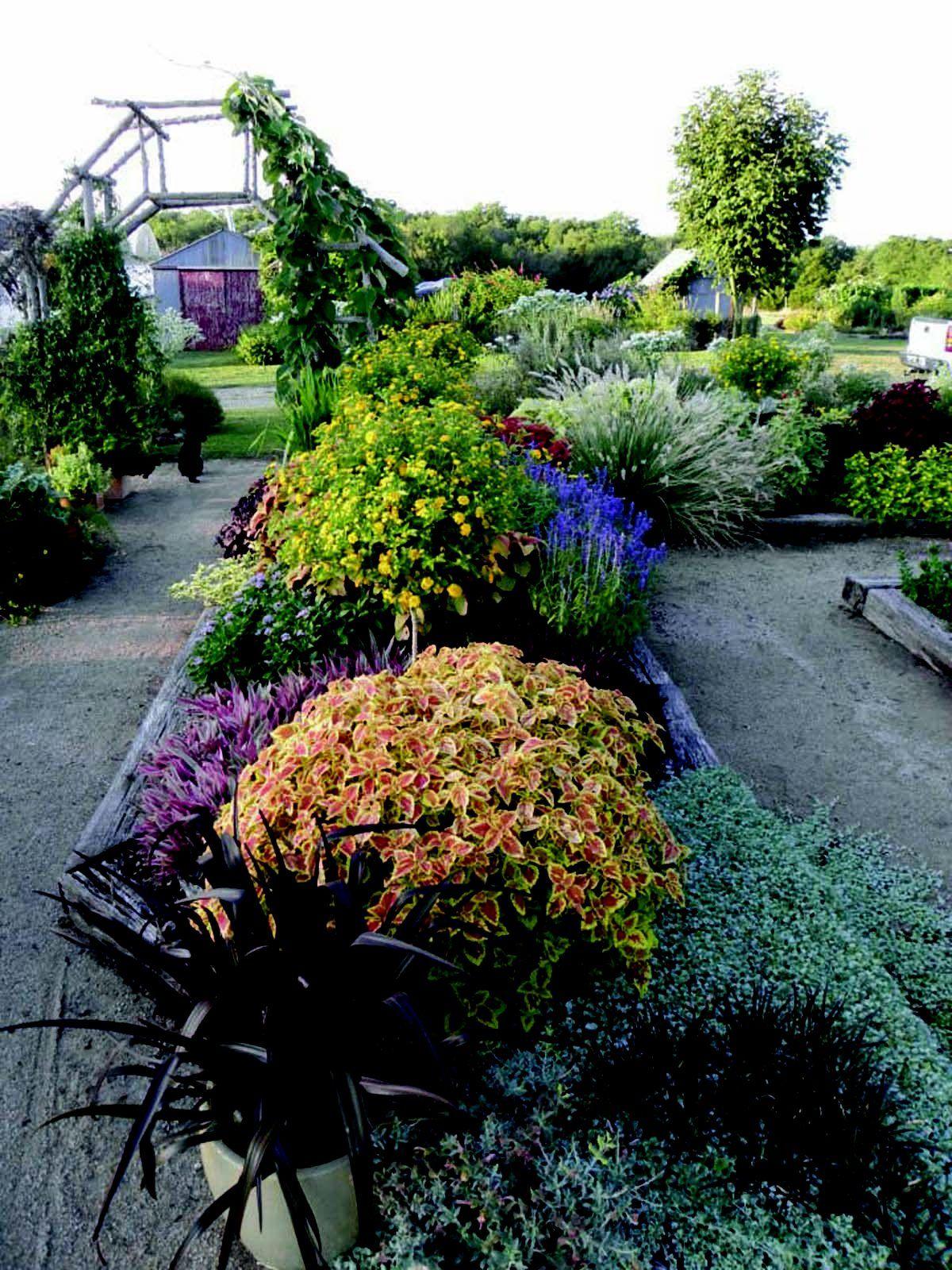 Bustani Plant Farm grows something different Archives