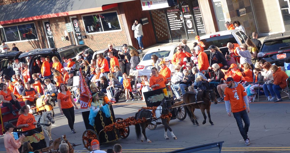 )Chariots - Oklahoma Miniature Horse Group.jpg