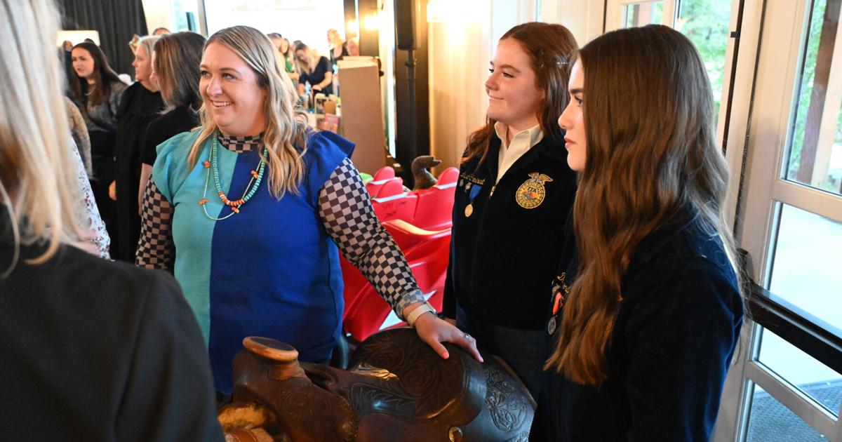 Stillwater FFA's new agriculture class teaches students about equine care