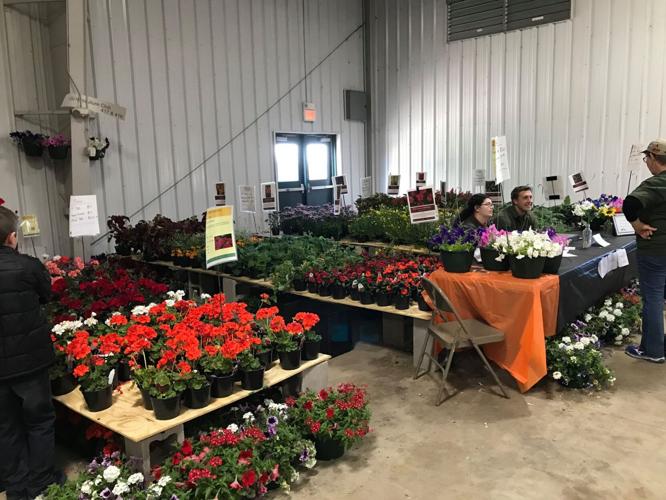 Home and Garden Show returns to Expo Center News