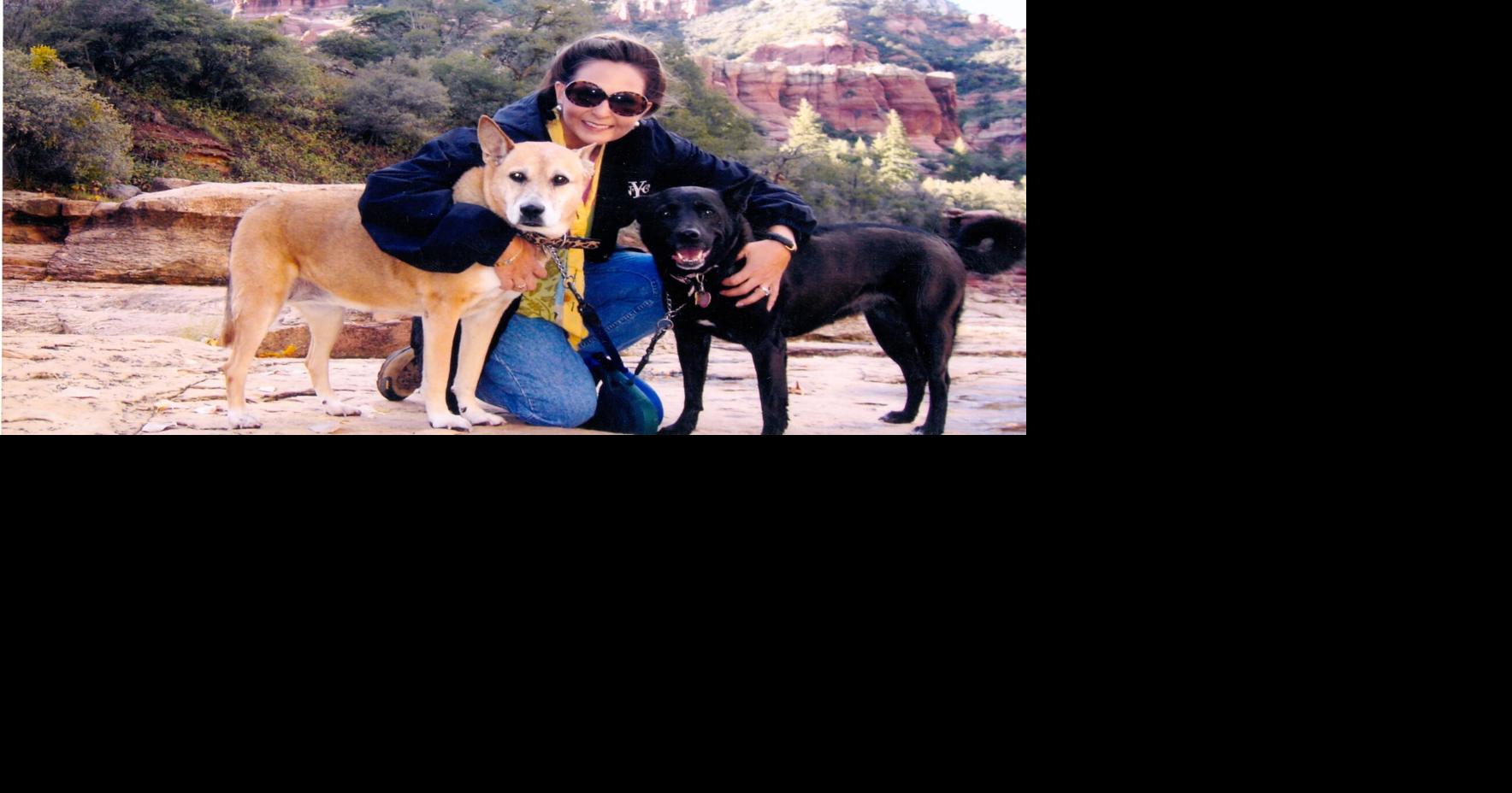 'Have Dog Will Travel': Stillwater author publishes new series of ...
