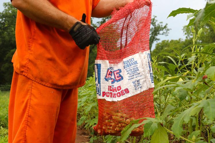 Payne County Jail provides fresh produce, and glimpse of better life