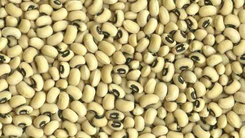 Why black-eyed-peas? It's tradition | News | stwnewspress.com