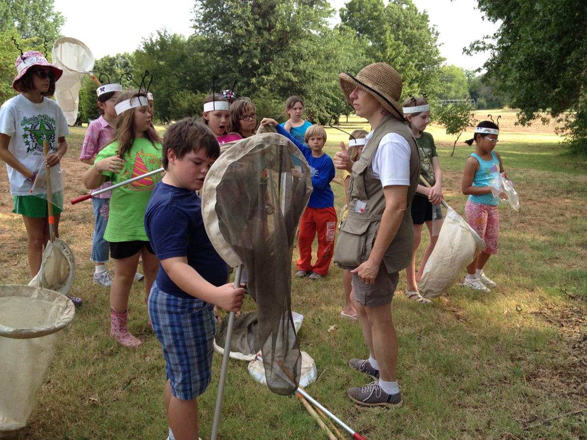 Q5 Registration open for Bugs and Plants Camp at Insect Adventure