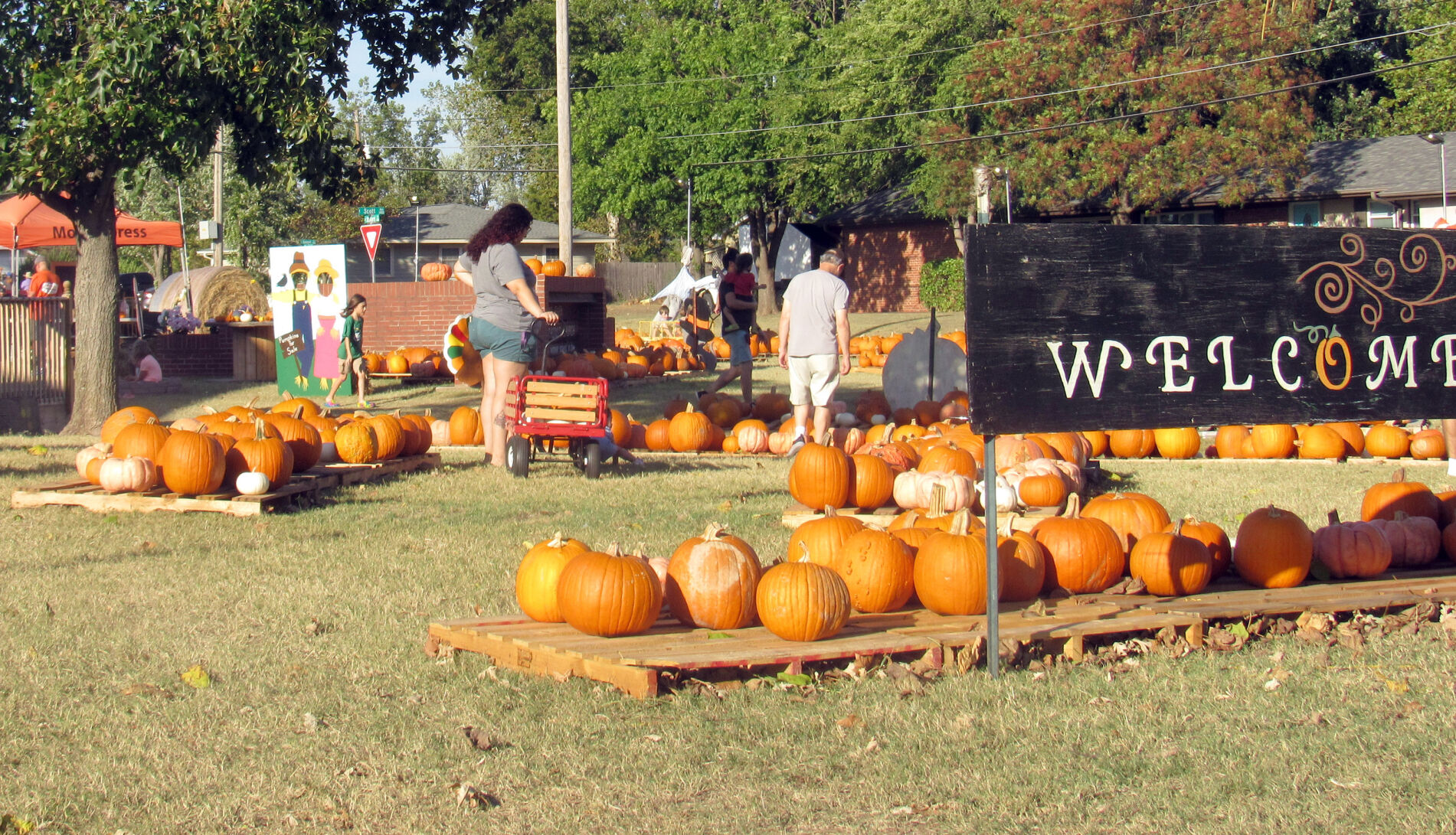 pumpkin patch ok