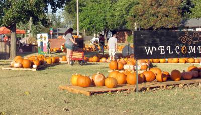 Stillwater Pumpkin Patch opens Saturday | News | stwnewspress.com