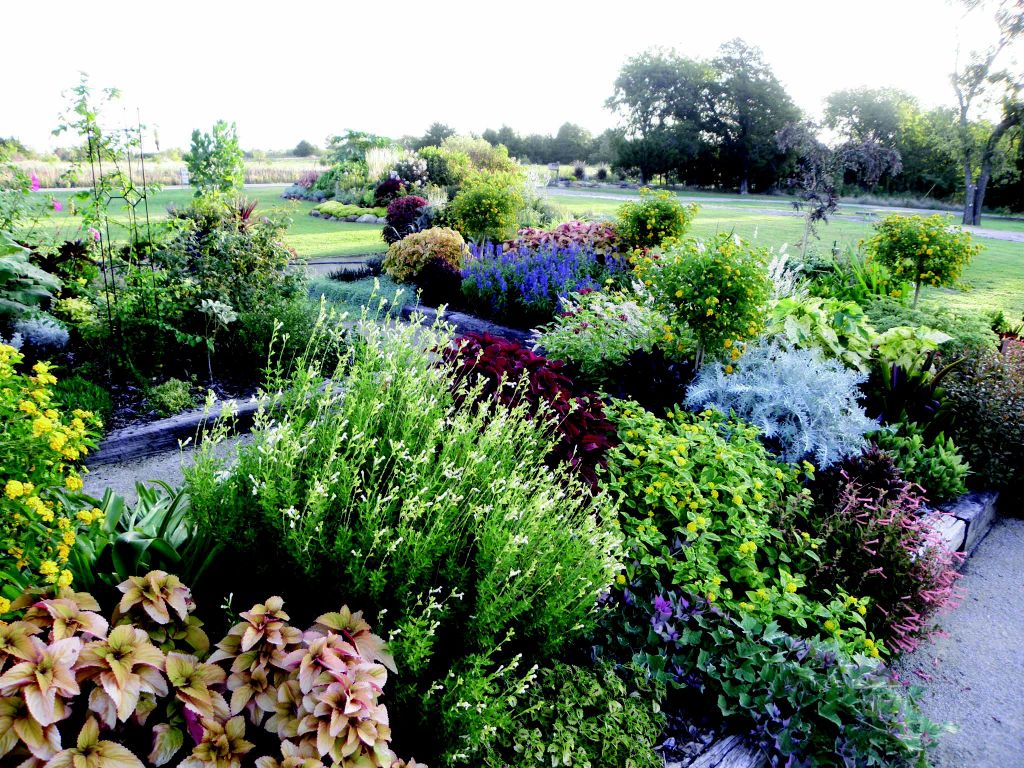 Bustani Plant Farm grows something different Archives
