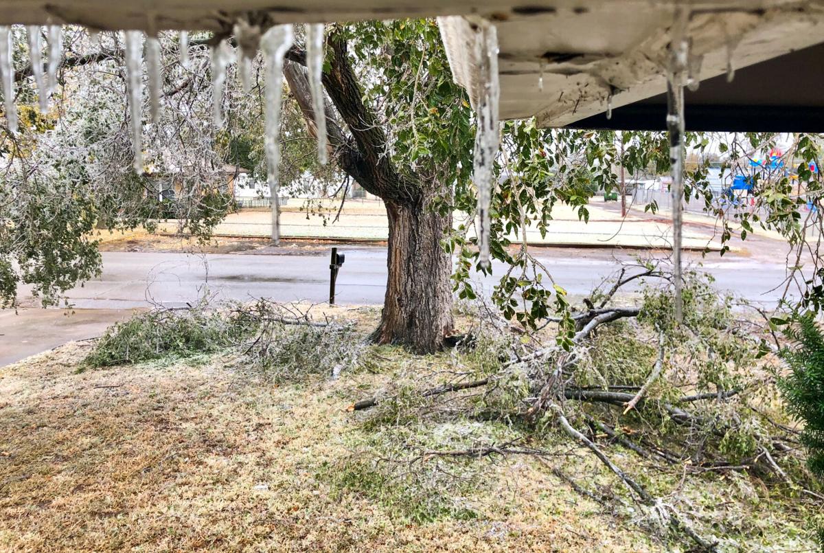 Branch in yard with ice cyles.jpg