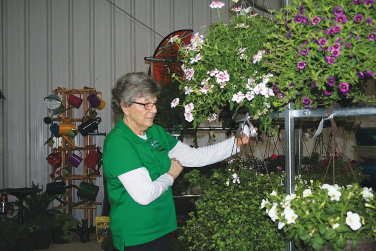 Home and Garden Show returns to Expo Center News