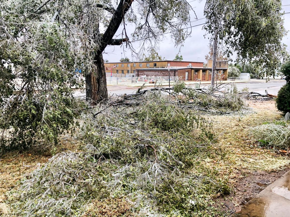 Branches in front yard2.jpg