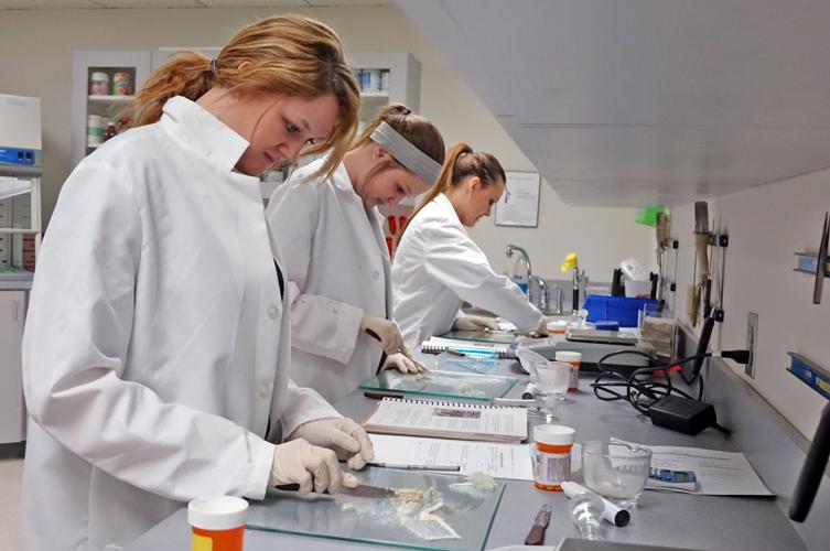 Pharmacy Tech program prepares students for career in health field ...