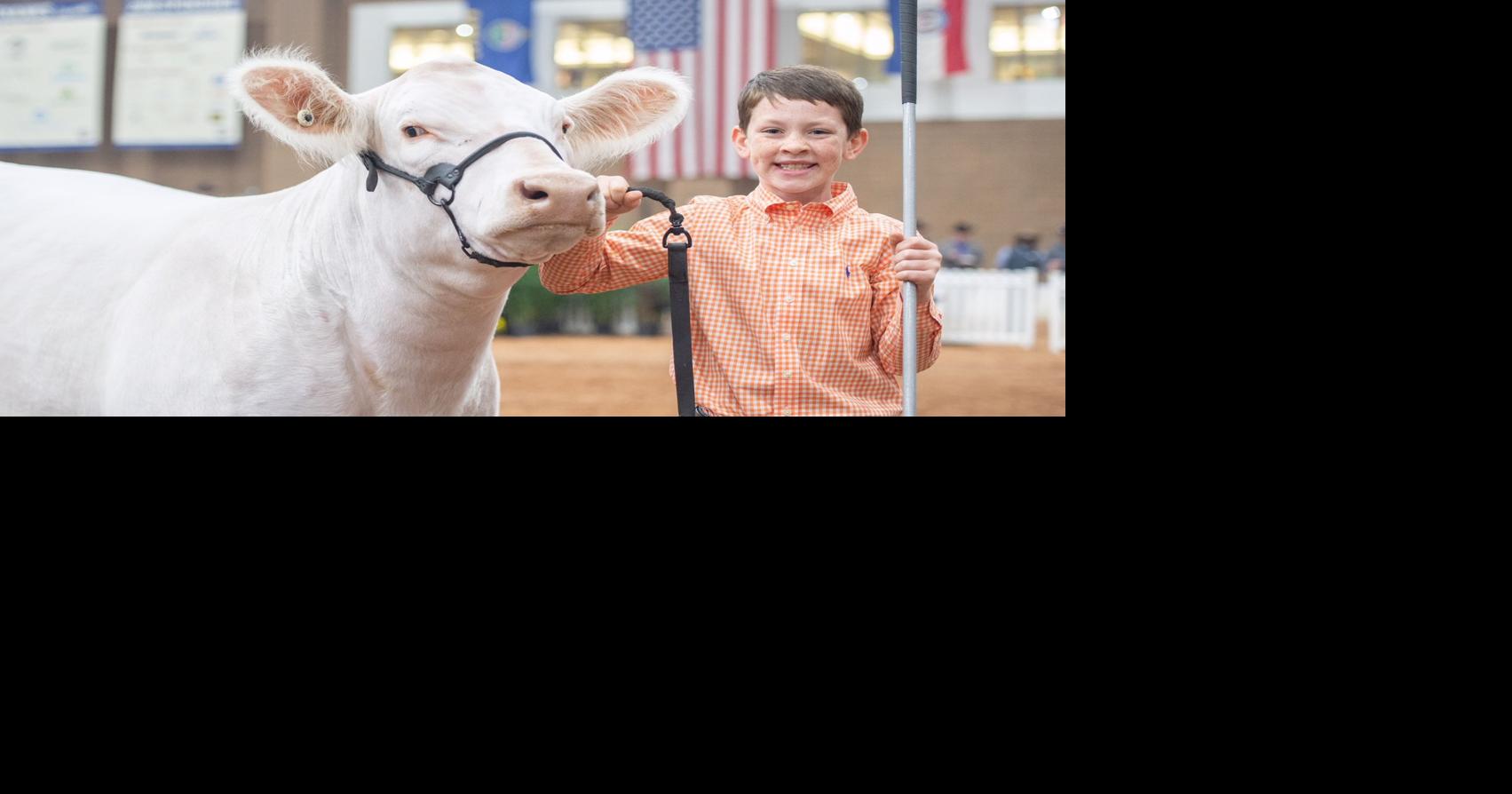 Ripley student wins big at one of biggest livestock shows in the country News