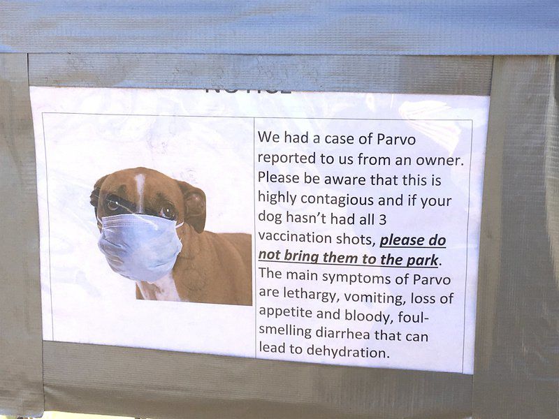 ... warning: parvovirus Puppies and unvaccinated Dog park issues