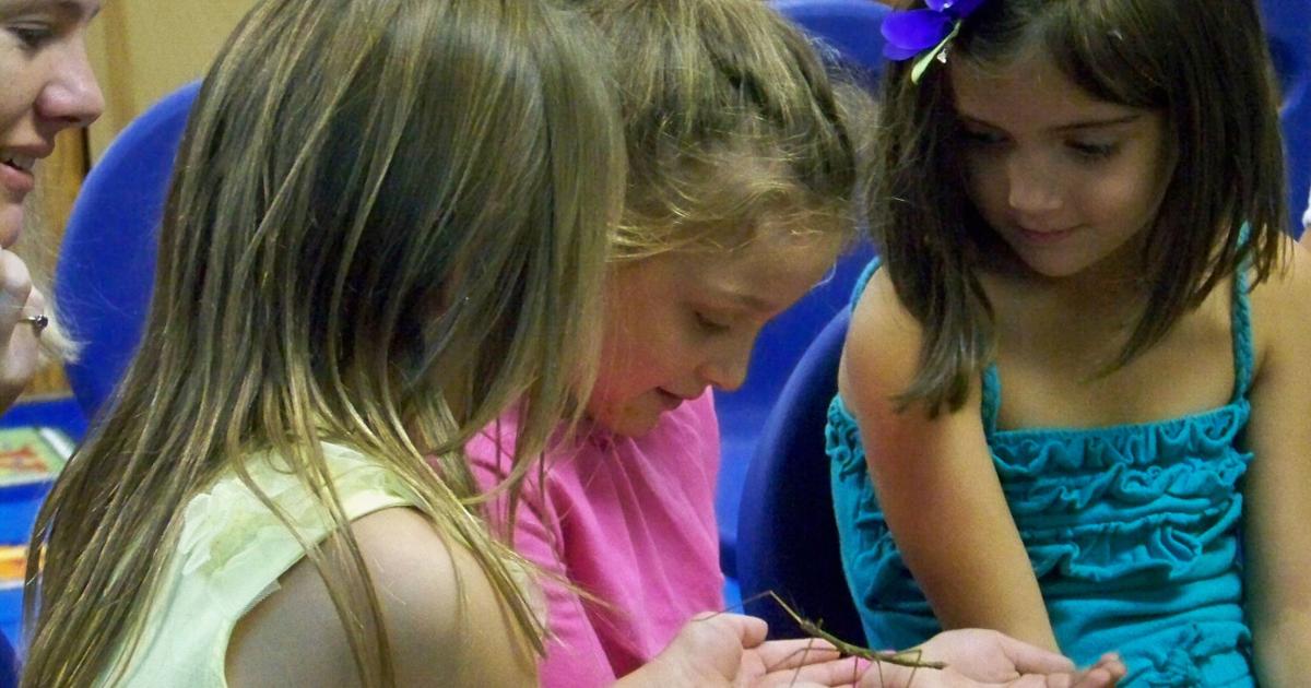 Oklahoma State University’s Insect Adventure provides hands-on learning ...