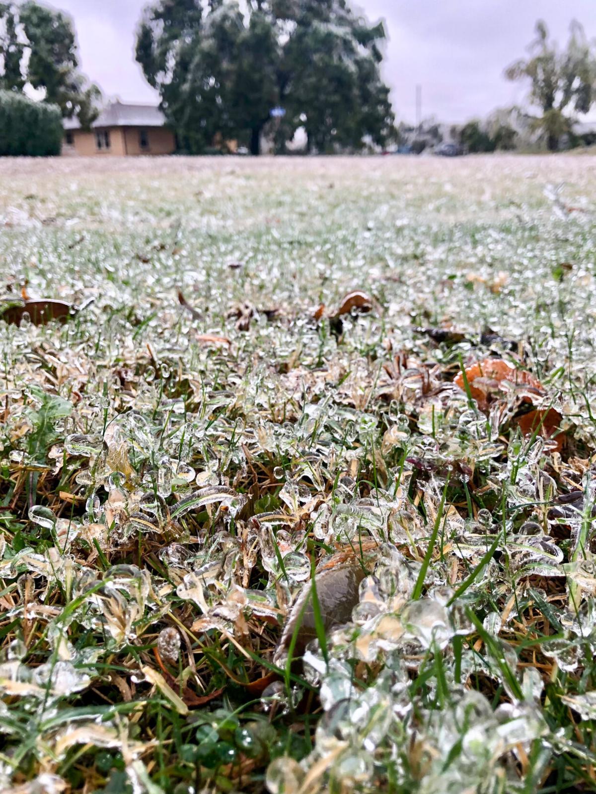 Icy grass.jpg