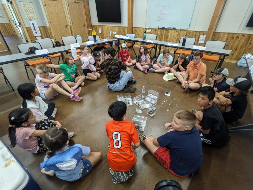 Bad vs. good bugs: How Insect Adventure changed my mind about arthropods