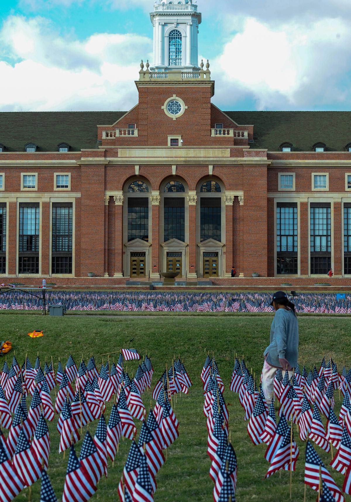 Library Flags vertical.jpg