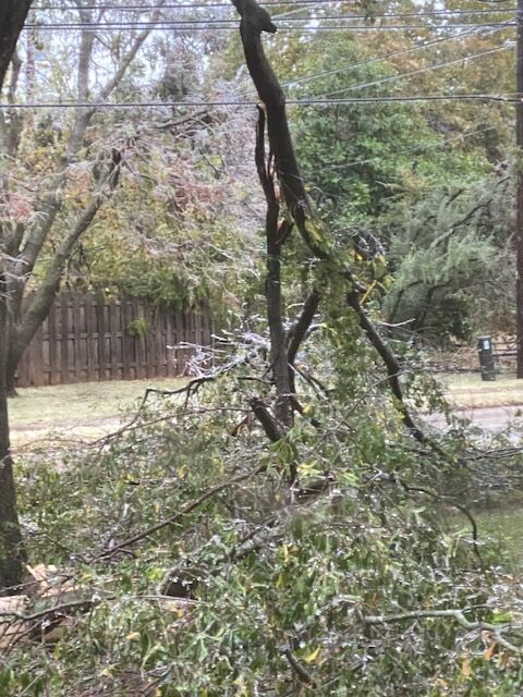 Limb damage