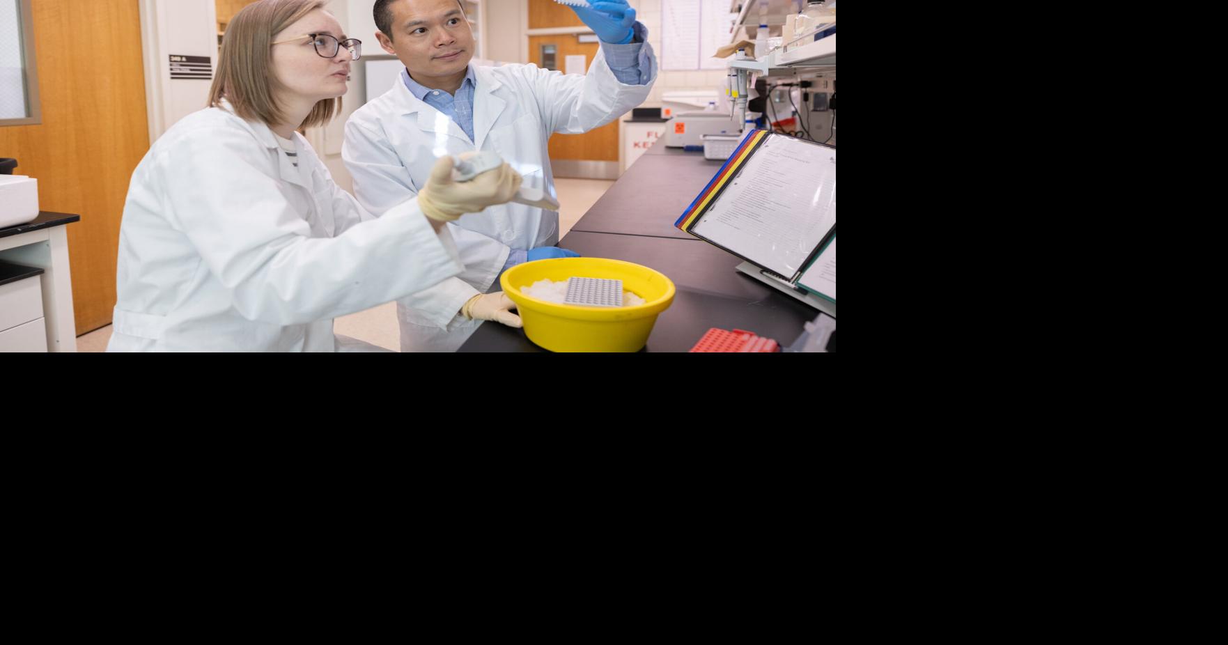 Cheng receives 2025 OSU Excellence in Research Mentoring Award | News ...
