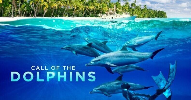 Award-winning dolphin documentary coming to Fernbank’s Giant Screen Theater