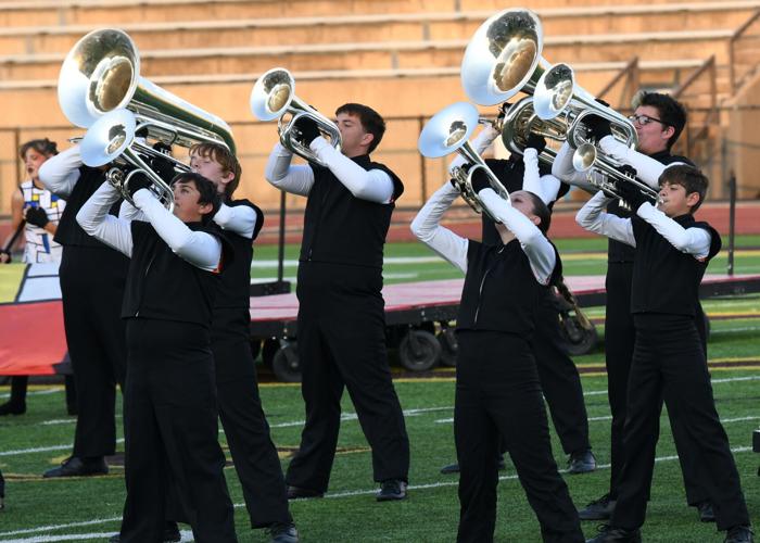 LHS Pride of Green earns gold rating News