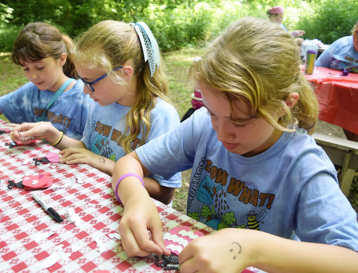 Girl Scouts thriving once again at Camp Wildwood News