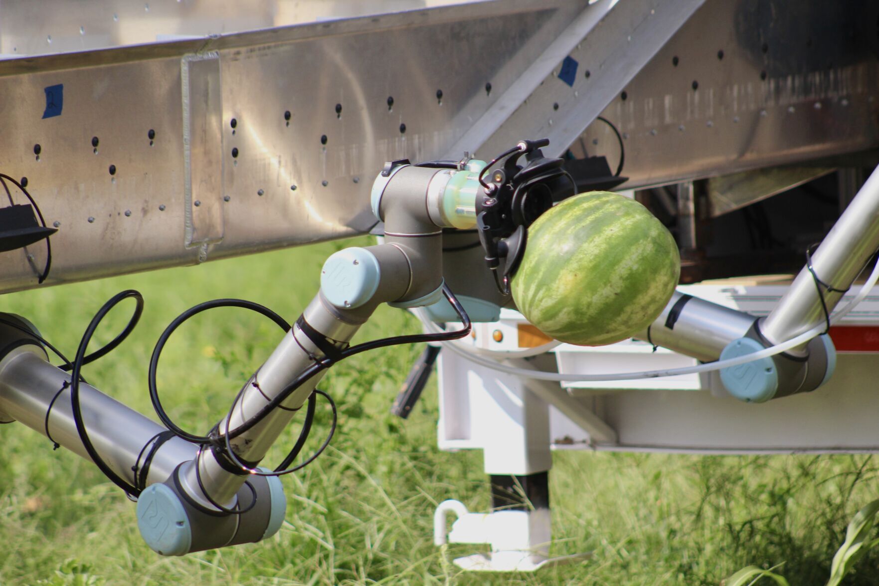 TerraForce demonstrates progress with AI-powered watermelon