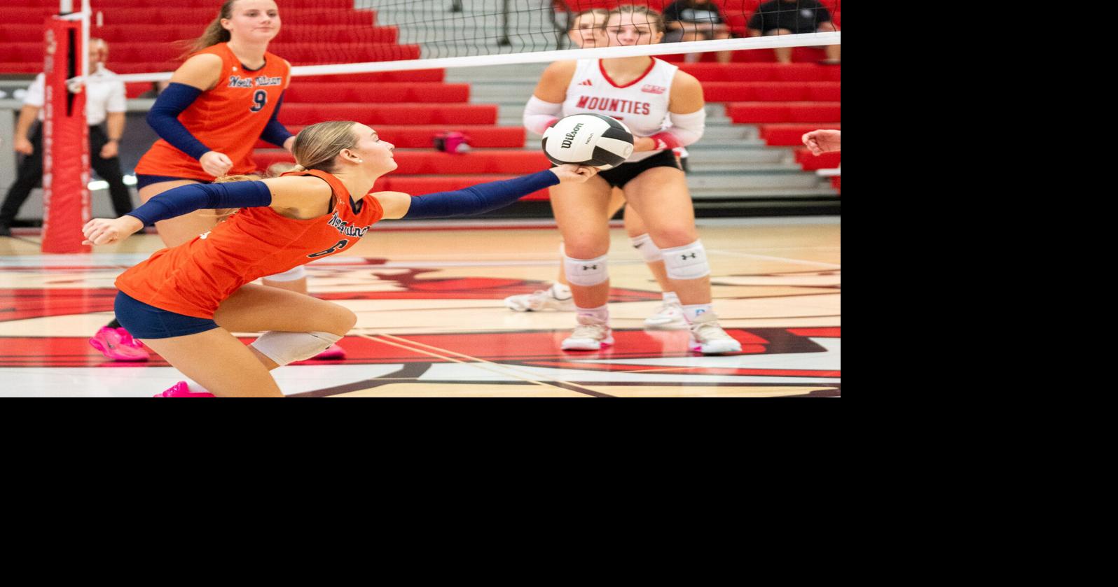 SOUTHMONT VOLLEYBALL SECTIONAL: Tiger Cubs, Cougars crash out as Putnam County teams knocked out in opening round of sectional play
