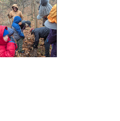 What lives beneath our feet: A winter walk reveals the quiet power of a salamander