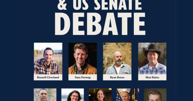 Democratic Candidates Talk Affordability, Healthcare, Childcare At First Congressional District Debate