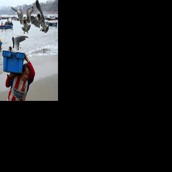 Crime-weary Peru votes for ninth president in a decade