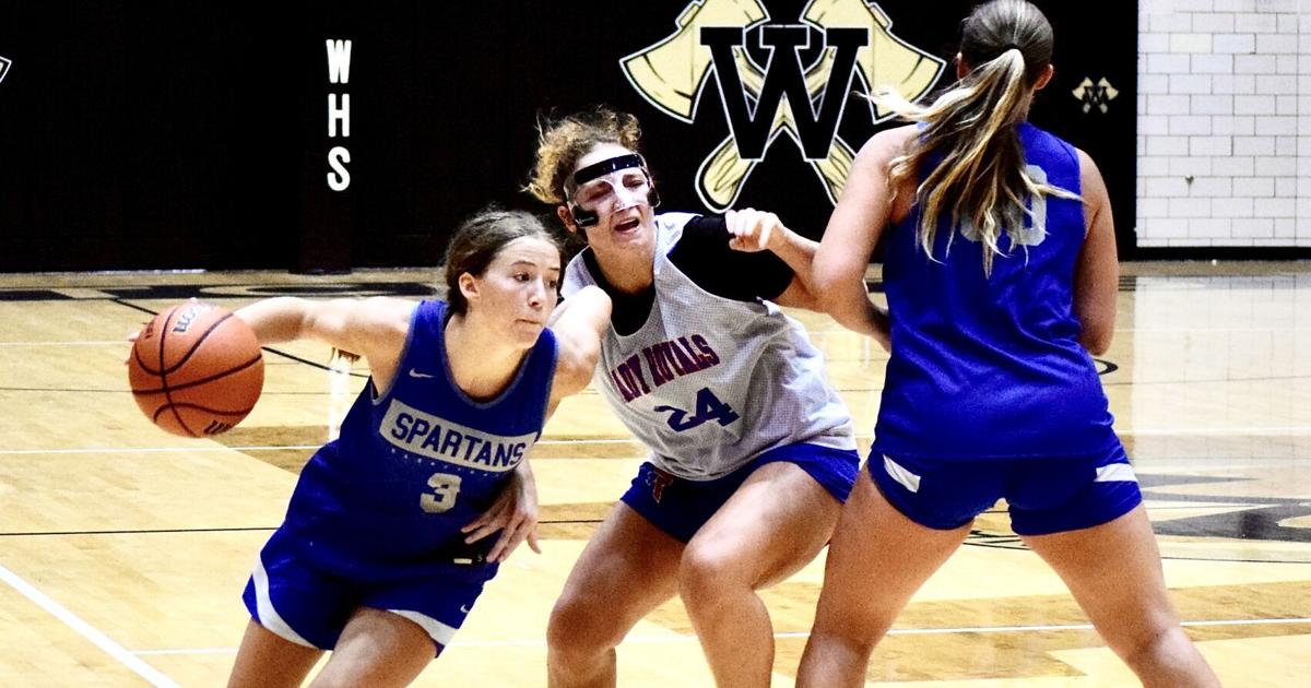 Spartans, Warriors face state's best at Washington