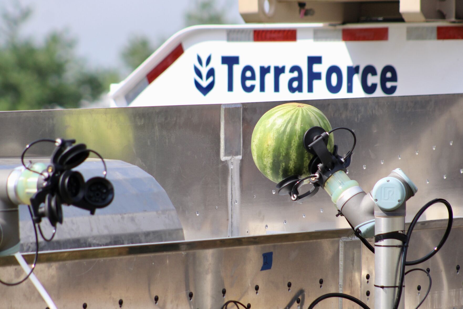 TerraForce demonstrates progress with AI-powered watermelon