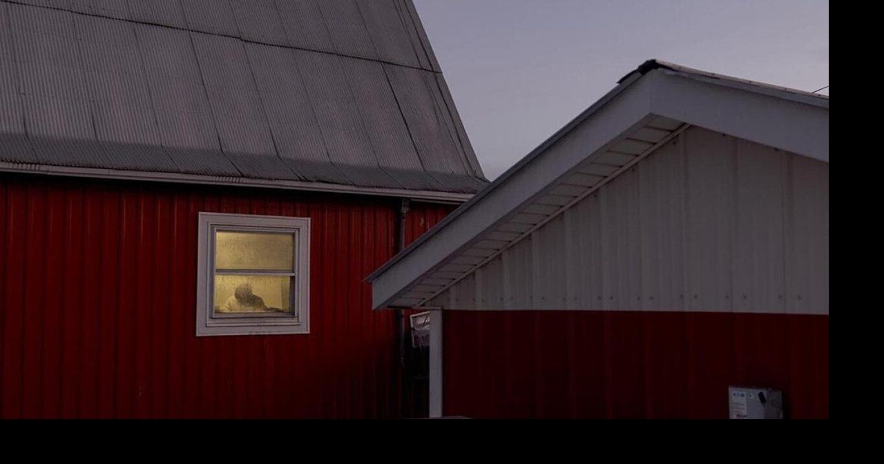 ‘I don’t go out’: Undocumented dairy workers live in fear after immigration raids
