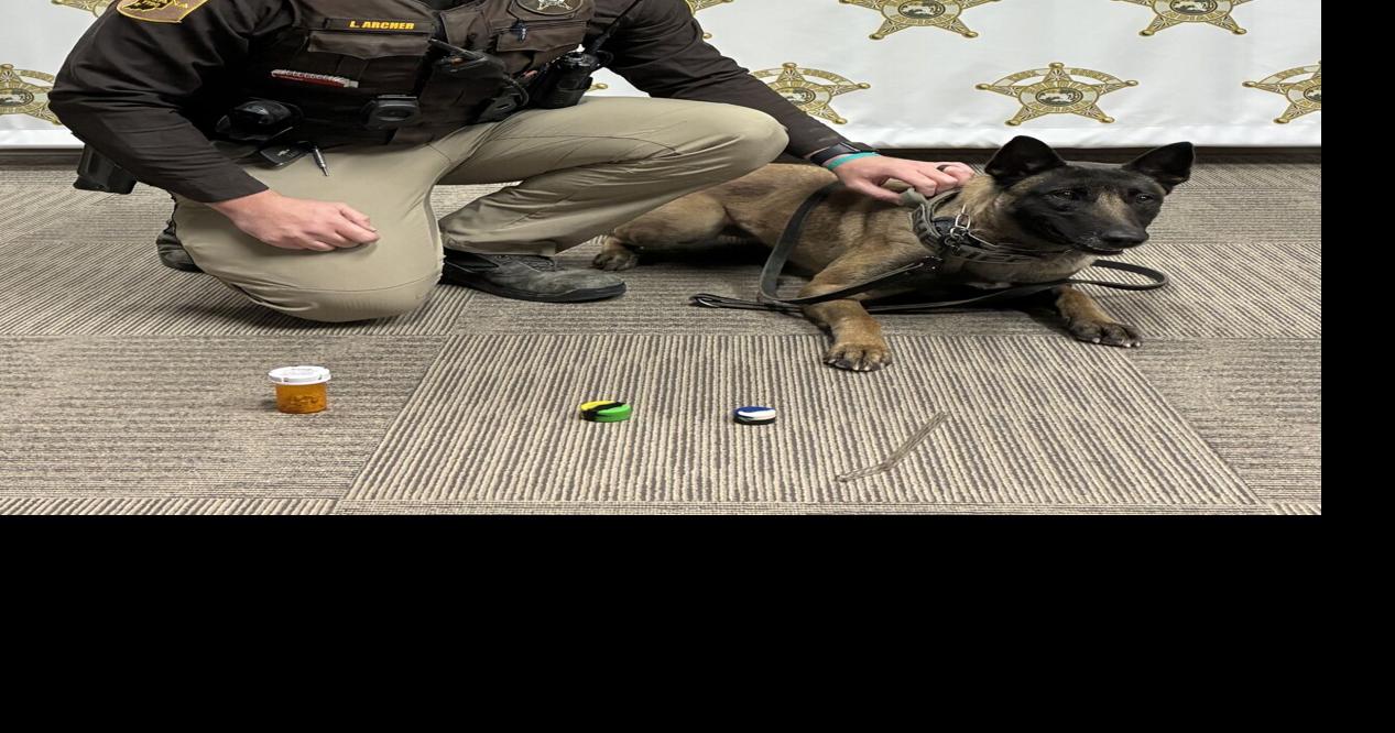 Traffic stop uncovers drugs, probation violation