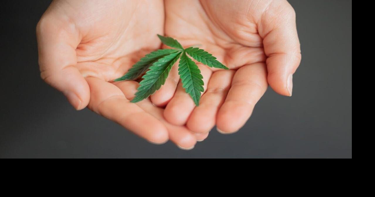 Does cannabis use raise risk of psychotic and bipolar disorders?