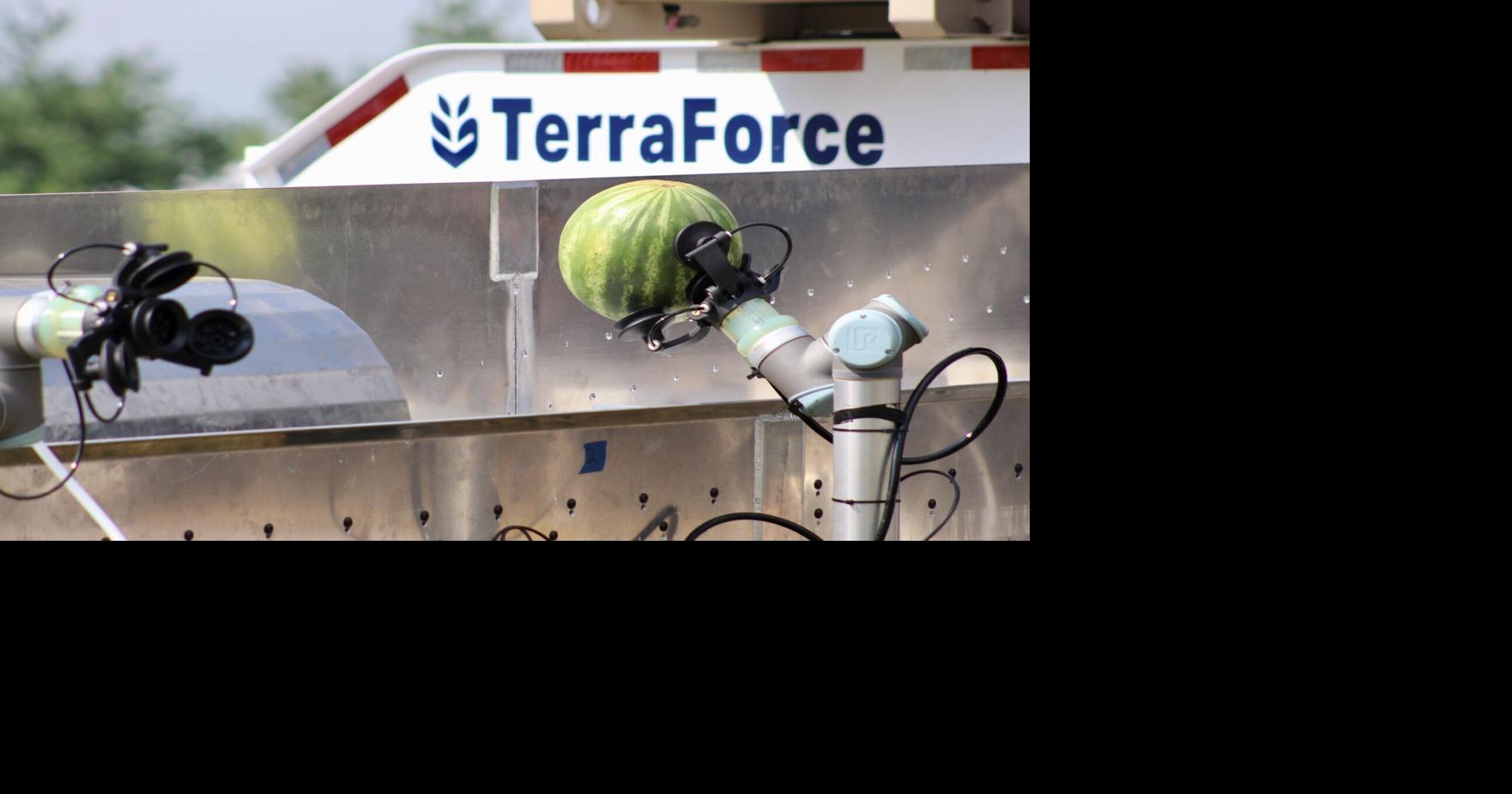 Pantheon celebrates year of growth, innovation, community impact